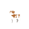 Brittany Dog Brittany Dog
