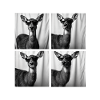 Funny Deer Wearing Sunglasses Photobooth
