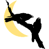 Ravens and moon coloured