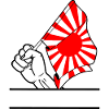Fist with Rising Sun flag 2