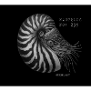 Perlboot - Nautilus