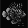 Lionfish - Pterois