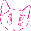 Katze im Fokus