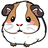 Guinea pig