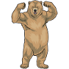 Bear Bodybuilder Musculation