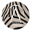 Zebra Pattern - Jungle Vibes