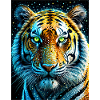 tigre 1