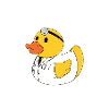 Trust me I'm a Ducktor