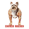 Humorvoller Doggynator mit Spruch