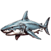 Marée de requin