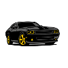 Night muscle with yellow rims