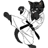 Black cat karate kick, kick