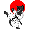 Black cat karate sun
