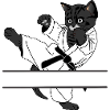 Black cat karate kick