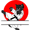 Chat noir karaté soleil