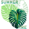 summer time