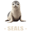 Seals, Seal