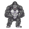 Gorilla Bodybuilder Bodybuilding
