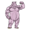 Hippopotame Bodybuilder Musculation