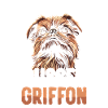Bruxelles Griffon Hvalp Hund Bruxelles Griffon