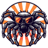 Tarantula Spinne Cool