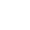 Border Patrol