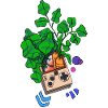 Farmboy