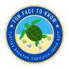 Fun Fact about Turtles