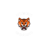Black And Orange cap