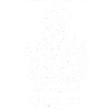 Incognito