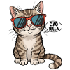 Ciao Bella
