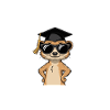 Mastertitel Erdmännchen - Master Abschluss