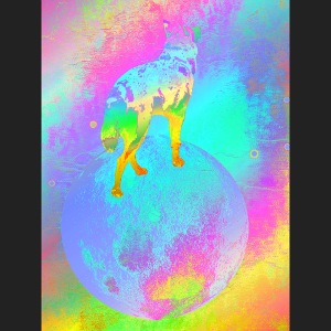 Husky im Mond Regenbogen