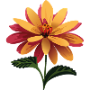 Floral arrangement summer vibe