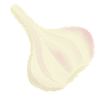 Knoblauch-Knolle