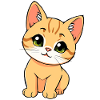 Chat mignon