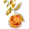 Diso orange