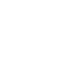 Swan Sunglasses