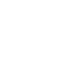 Walrus