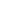 Raccoon