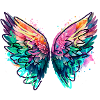 Engelsflügel,angelwings, Graffiti,bunt