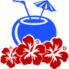 Cocktail Hibiscus