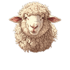 Sheep Sheep