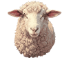 Mouton Mouton