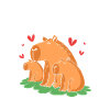 Capybara Capibara