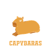 Capybara Capibara