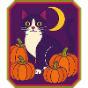 Framed Tuxedo Cat Moon