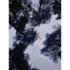 Les grands nuages silhouettes du ciel