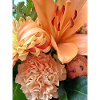 Warm orange floral pattern