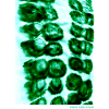 250705-1959